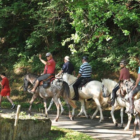 Les Chalets Du Moulin Du Chatain 4 Payzac  Εξωτερικό φωτογραφία