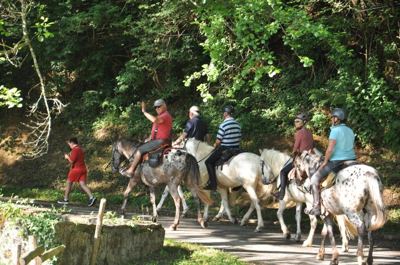 Les Chalets Du Moulin Du Chatain 4 Payzac  Εξωτερικό φωτογραφία